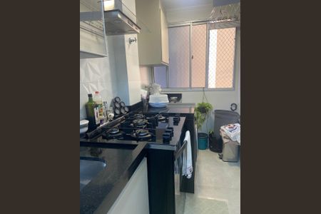 Cozinha de apartamento à venda com 3 quartos, 63m² em Vila Sao Pedro, Santo André