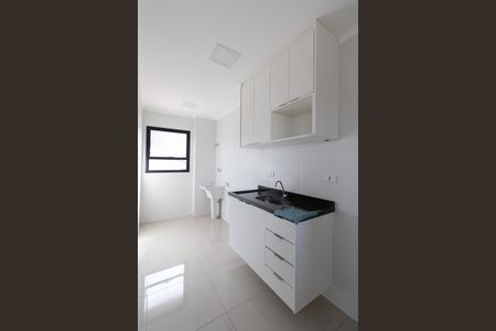 Cozinha e Área de Serviço de apartamento para alugar com 2 quartos, 40m² em Vila Jacuí, São Paulo