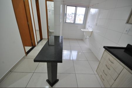 Cozinha de apartamento para alugar com 2 quartos, 45m² em Vila Albertina, São Paulo