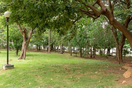 Área Comum-Área Verde de apartamento para alugar com 2 quartos, 47m² em Jardim Recanto, Americana