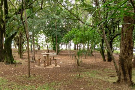 Apartamento para alugar com 47m², 2 quartos e 1 vaga Apartamento para alugar com 47m², 2 quartos e 1 vagaÁrea Comum-Área Verde