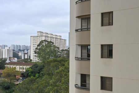 Apartamento para alugar com 117m², 3 quartos e 1 vagaVista do Quarto 2