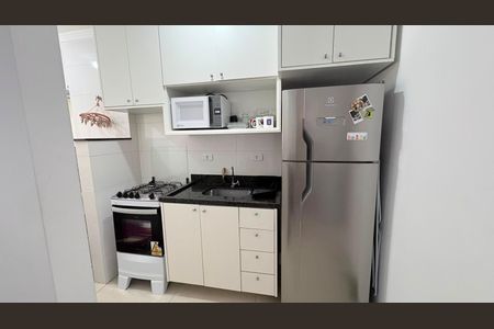Cozinha de apartamento para alugar com 1 quarto, 25m² em Vila Constança, São Paulo