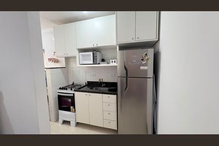 Cozinha de apartamento para alugar com 1 quarto, 25m² em Vila Constança, São Paulo