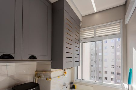 Área de Serviço de apartamento para alugar com 2 quartos, 37m² em Usina Piratininga, São Paulo
