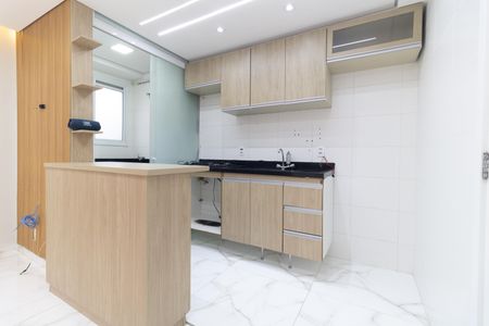 Cozinha de apartamento para alugar com 2 quartos, 48m² em Jardim Sao Saverio, São Paulo