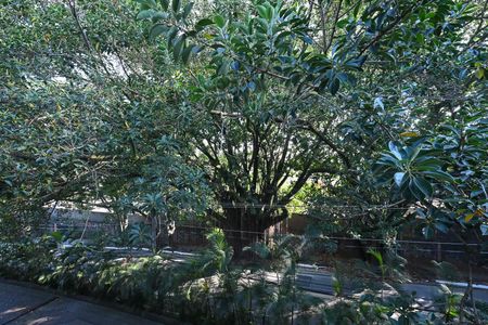 Vista do Quarto 2 de casa de condomínio à venda com 4 quartos, 310m² em Fazenda Morumbi, São Paulo