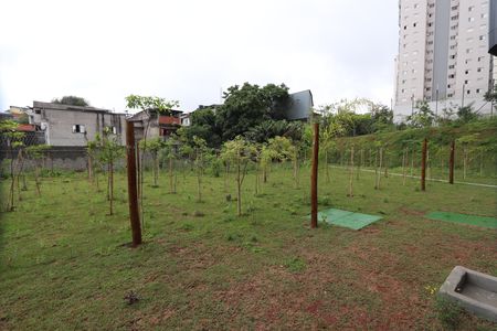 Área comum - Pomar de apartamento para alugar com 2 quartos, 45m² em Vila Formosa, São Paulo