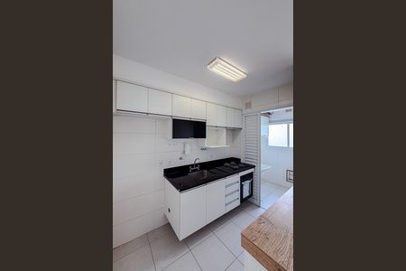 Cozinha de apartamento para alugar com 2 quartos, 59m² em Vila Mariana, São Paulo