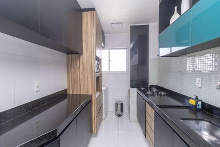 Cozinha de apartamento para alugar com 2 quartos, 63m² em Santa Amelia, Belo Horizonte