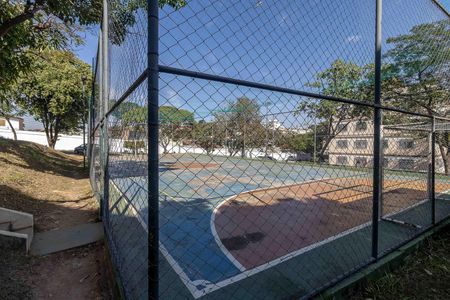 Quadra Esportiva de apartamento para alugar com 2 quartos, 63m² em Santa Amelia, Belo Horizonte