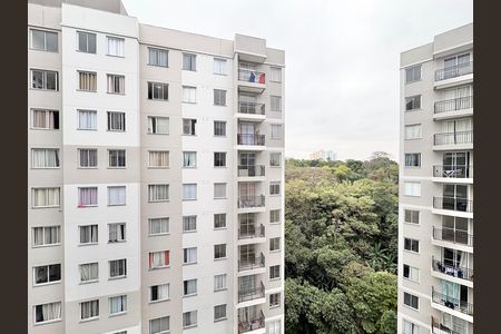 Vista de apartamento para alugar com 2 quartos, 34m² em Vila Pirituba, São Paulo