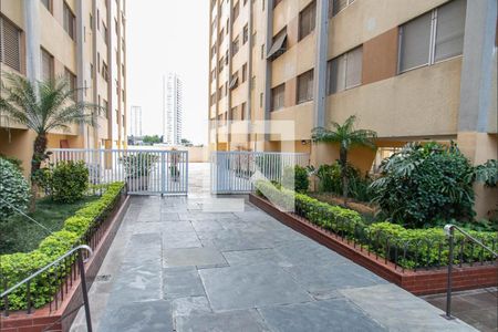 Área comum de apartamento para alugar com 2 quartos, 49m² em Cambuci, São Paulo
