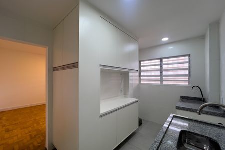 Cozinha de apartamento para alugar com 2 quartos, 49m² em Cambuci, São Paulo