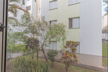 Vista do Quarto 1 de apartamento à venda com 2 quartos, 58m² em Jardim dos Oliveiras, Campinas