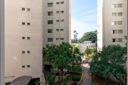 Vista do Quarto 1 de apartamento para alugar com 2 quartos, 60m² em Vila Paulista, São Paulo