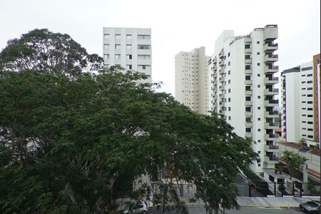 Apartamento à venda com 89m², 3 quartos e 2 vagasVista