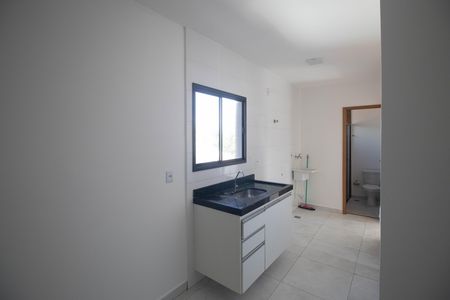Cozinha  de apartamento para alugar com 2 quartos, 50m² em Vila Germinal, São Paulo