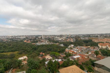 Apartamento para alugar com 2 quartos, 45m² em Juliana, Belo Horizonte