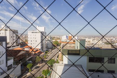 Vista da Varanda Gourmet na Sala de apartamento para alugar com 4 quartos, 191m² em São Marcos, Belo Horizonte