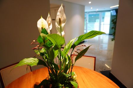 Área comum de apartamento para alugar com 4 quartos, 156m² em Centro, Americana