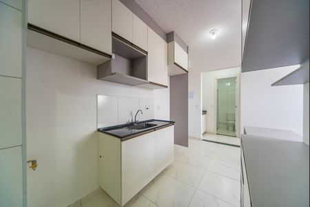 Cozinha  de apartamento para alugar com 2 quartos, 35m² em Vila Sacadura Cabral, Santo André