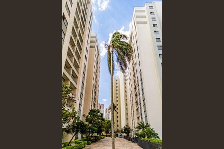 Área comum de apartamento à venda com 2 quartos, 53m² em Jardim Monte Alegre, São Paulo