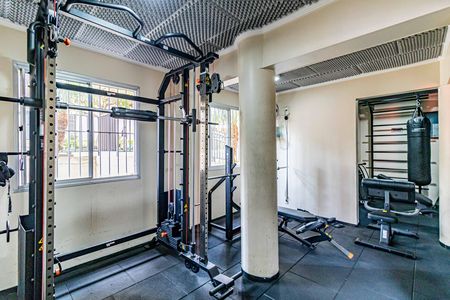 Área comum - Academia de apartamento à venda com 2 quartos, 53m² em Jardim Monte Alegre, São Paulo