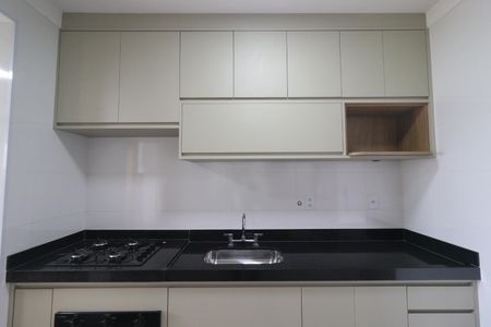 Cozinha de apartamento para alugar com 2 quartos, 85m² em Nova Aliança, Ribeirão Preto