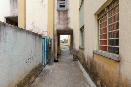 Apartamento para alugar com 49m², 2 quartos e 1 vaga Apartamento para alugar com 49m², 2 quartos e 1 vagaÁrea Comum