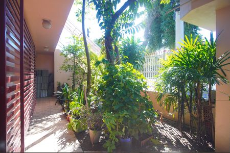 Quintal de casa para alugar com 3 quartos, 150m² em Santa Teresa, São Leopoldo