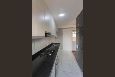Cozinha de apartamento para alugar com 2 quartos, 48m² em Jardim São Vicente, Campinas
