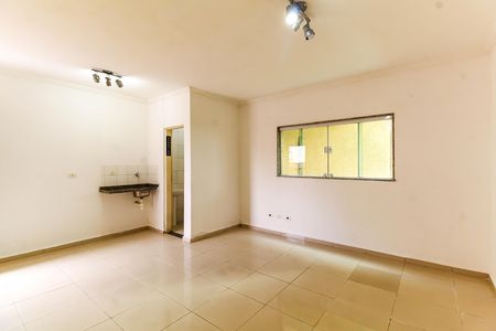 Sala/Quarto de kitnet/studio para alugar com 1 quarto, 30m² em Belenzinho, São Paulo
