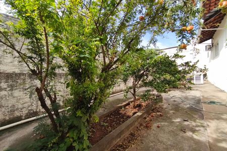 Casa para alugar com 250m², 4 quartos e 3 vagas Casa para alugar com 250m², 4 quartos e 3 vagasQuintal