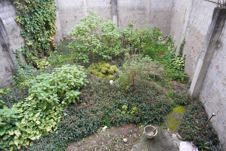 Casa de condomínio à venda com 250m², 5 quartos e 5 vagasVista do Quarto 2