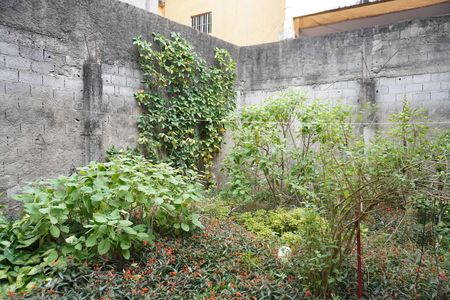 Casa de condomínio à venda com 250m², 5 quartos e 5 vagasÁrea comum