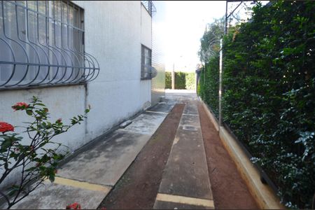 Entrada de apartamento à venda com 3 quartos, 80m² em Palmares, Belo Horizonte