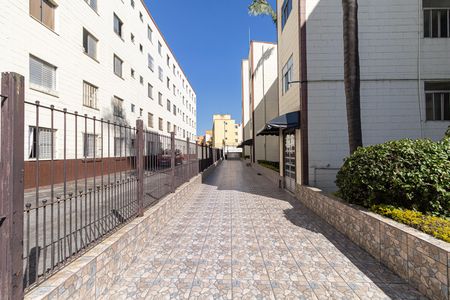 Área Comum de apartamento para alugar com 2 quartos, 49m² em Artur Alvim, São Paulo