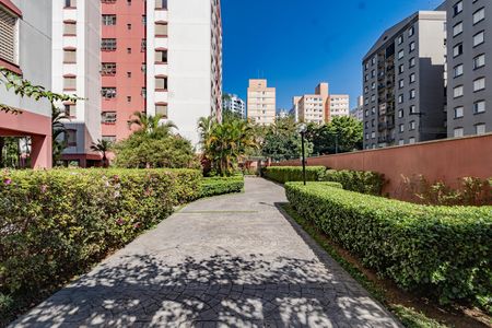 Área comum de apartamento à venda com 3 quartos, 63m² em Parque Bristol, São Paulo