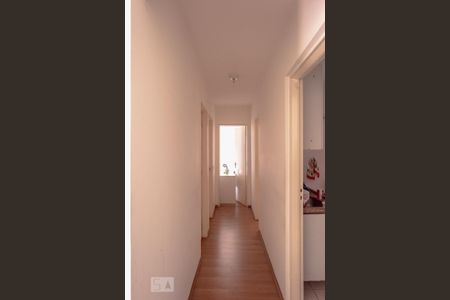 Corredor de apartamento à venda com 3 quartos, 74m² em Vila Carlos de Campos, São Paulo