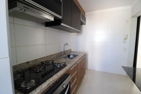 Cozinha de apartamento para alugar com 2 quartos, 74m² em Patrimônio, Uberlândia