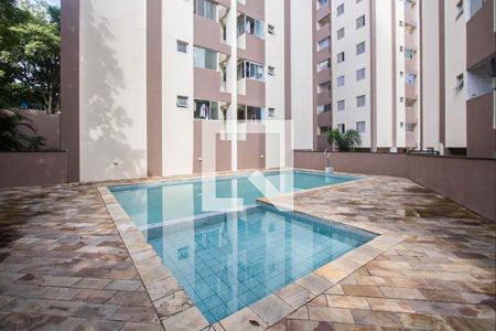 Área comum - Piscina de apartamento para alugar com 2 quartos, 55m² em Parque Maria Helena, São Paulo