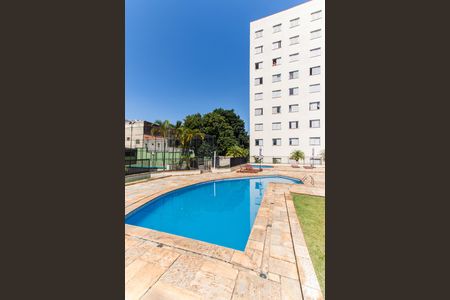Área comum - Piscina de apartamento para alugar com 2 quartos, 51m² em Vila Mazzei, São Paulo