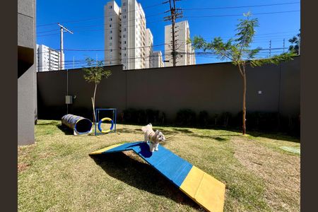 Área comum - Pet Place de apartamento para alugar com 2 quartos, 66m² em Bonfim, Campinas