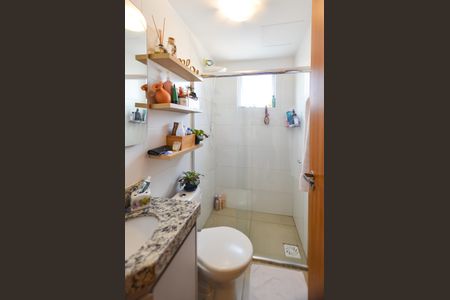 Banheiro de apartamento para alugar com 2 quartos, 53m² em Colégio Batista, Belo Horizonte