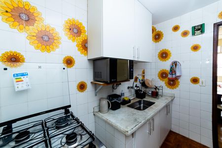Cozinha de apartamento à venda com 2 quartos, 75m² em Sagrada Família, Belo Horizonte