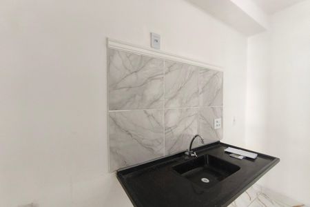 Cozinha de apartamento para alugar com 2 quartos, 43m² em Residencial Parque da Fazenda, Campinas