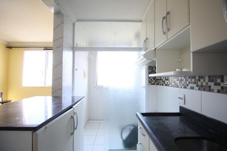 Cozinha de apartamento para alugar com 2 quartos, 47m² em Parque Munhoz, São Paulo
