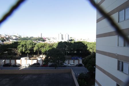 Vista quarto 1 de apartamento para alugar com 3 quartos, 70m² em Jardim Iris, São Paulo