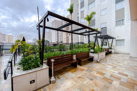 Área comum de apartamento para alugar com 2 quartos, 34m² em Água Rasa, São Paulo